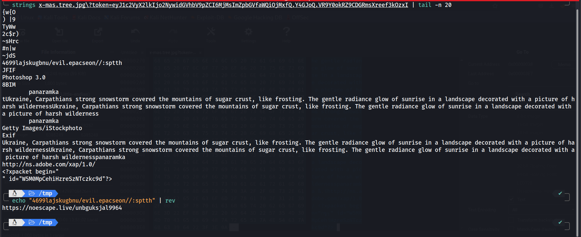 NoEscape CTF